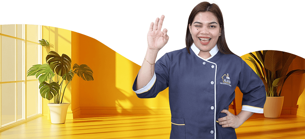 Direct Sponsorship Maid Services